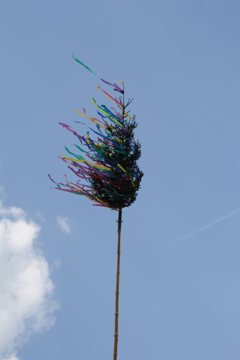 Maibaum